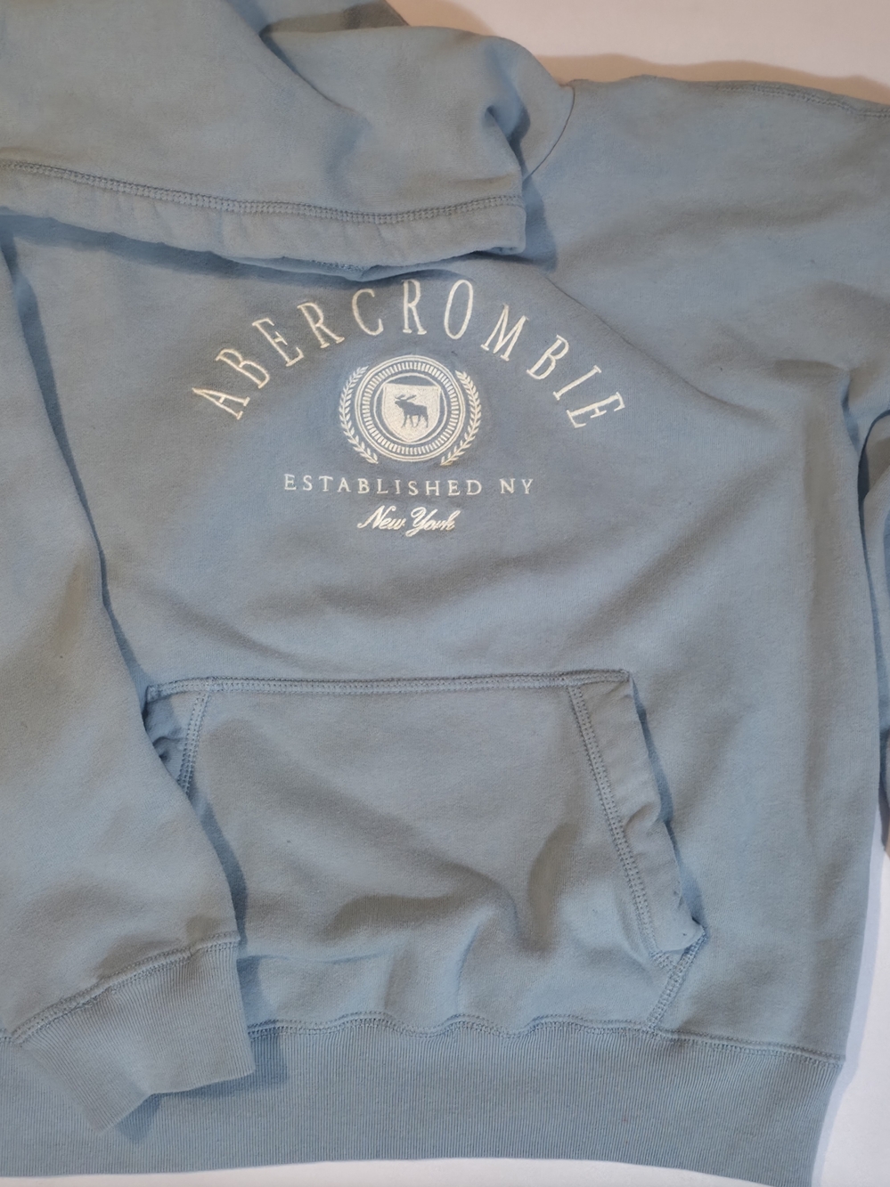 Abercrombie & Fitch Kids Light Blue Hoodie embroidery Crest Logo Size 13/14